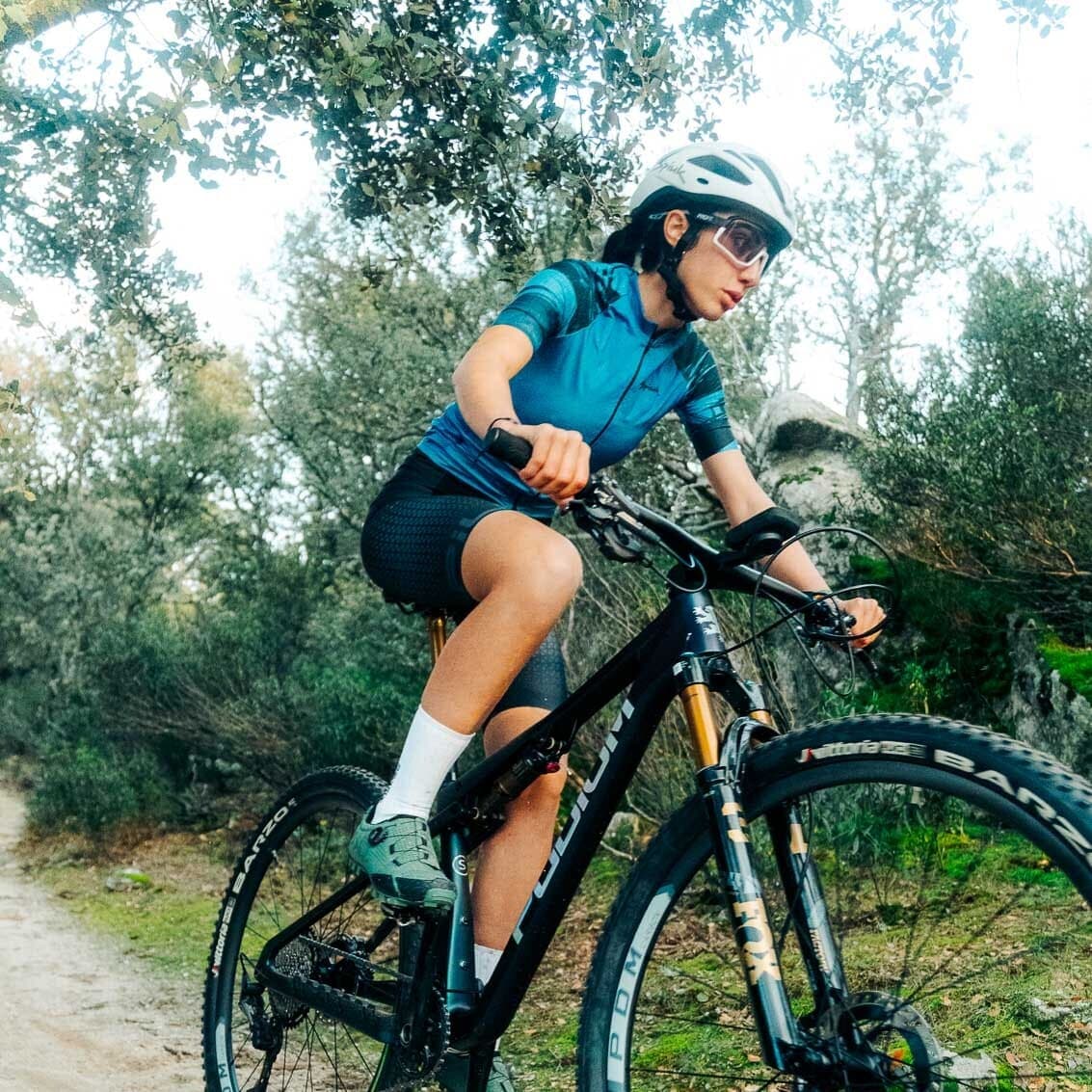 Cuadro de carbono