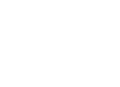 BT Turbion